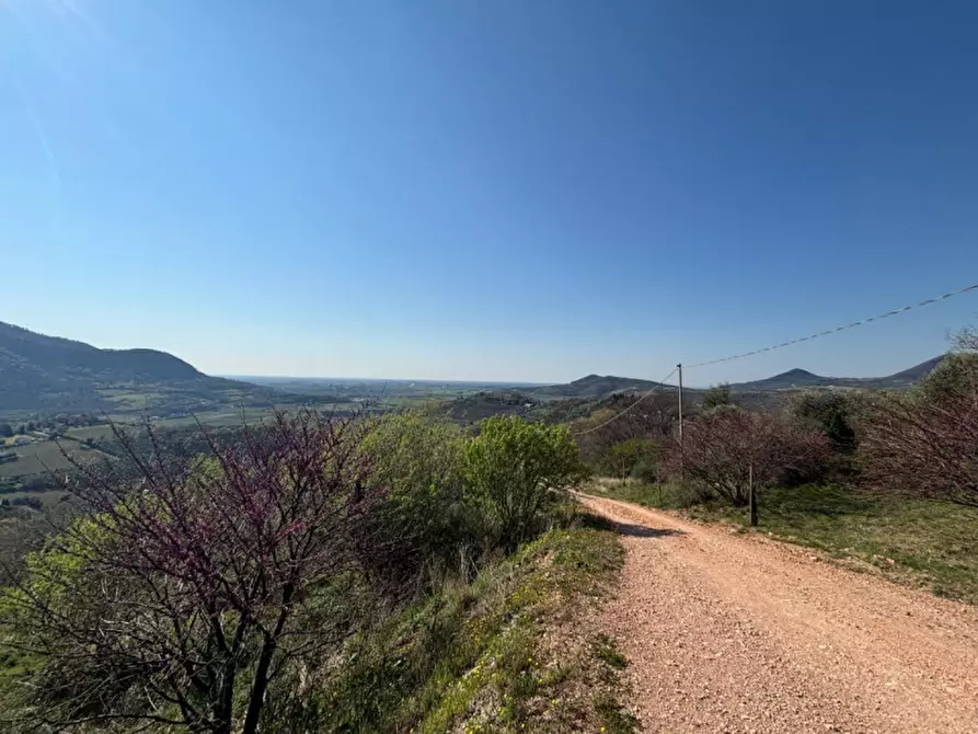 Immagine 23 di Villa in vendita  in vIA MONTà pICCOLO a Arqua' Petrarca