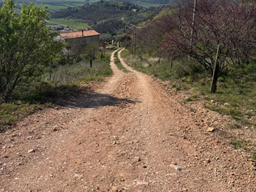 Immagine 26 di Villa in vendita  in vIA MONTà pICCOLO a Arqua' Petrarca