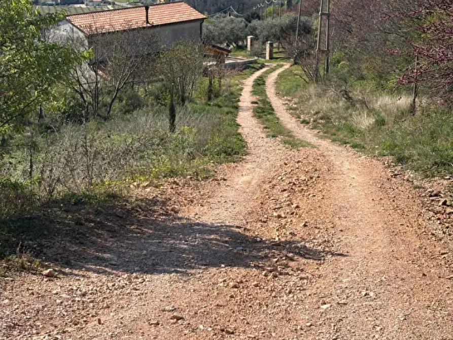 Immagine 27 di Villa in vendita  in vIA MONTà pICCOLO a Arqua' Petrarca
