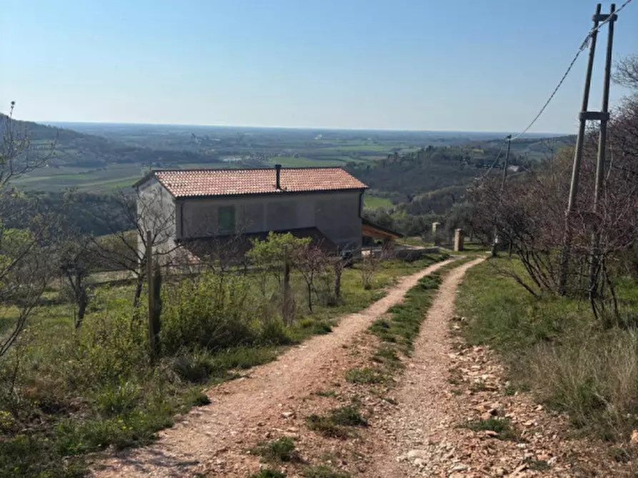 Immagine 28 di Villa in vendita  in vIA MONTà pICCOLO a Arqua' Petrarca