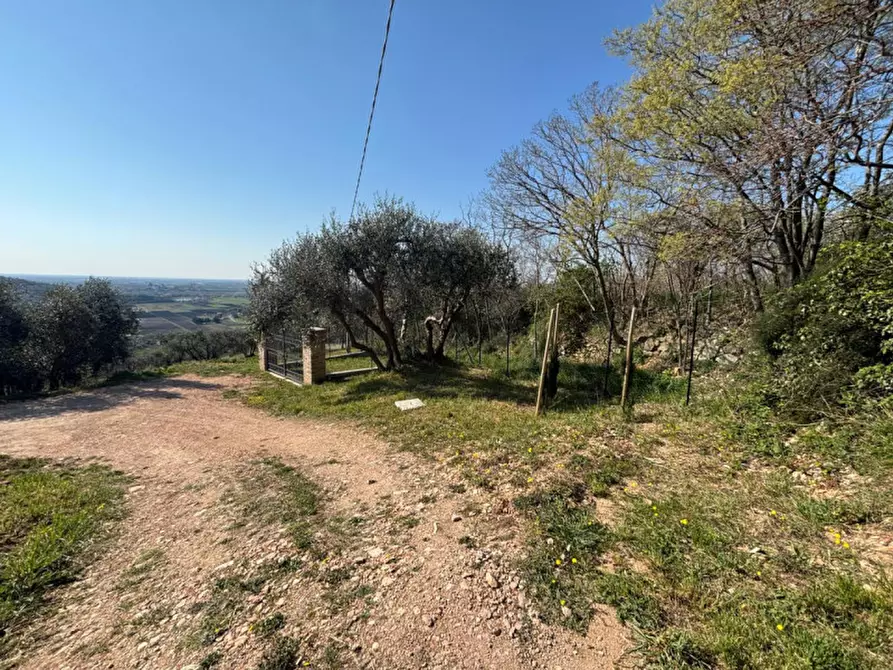 Immagine 30 di Villa in vendita  in vIA MONTà pICCOLO a Arqua' Petrarca