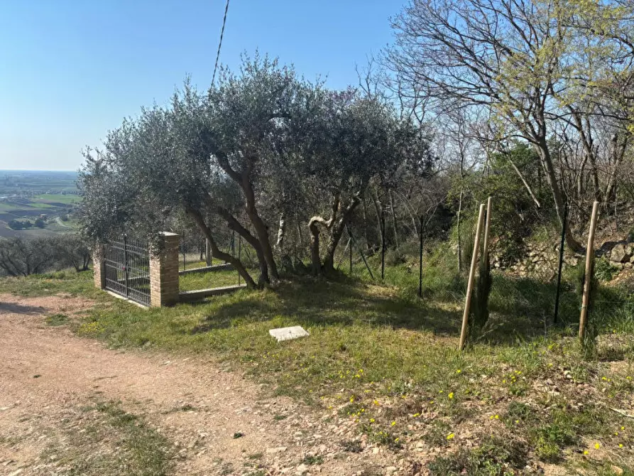 Immagine 31 di Villa in vendita  in vIA MONTà pICCOLO a Arqua' Petrarca