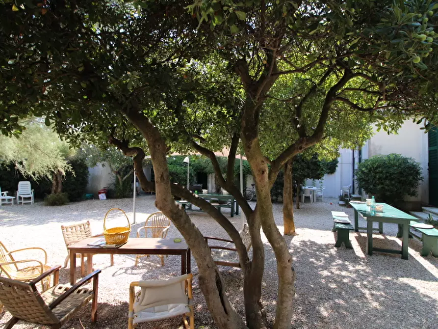 Immagine 45 di Casa indipendente in vendita  a Mondolfo