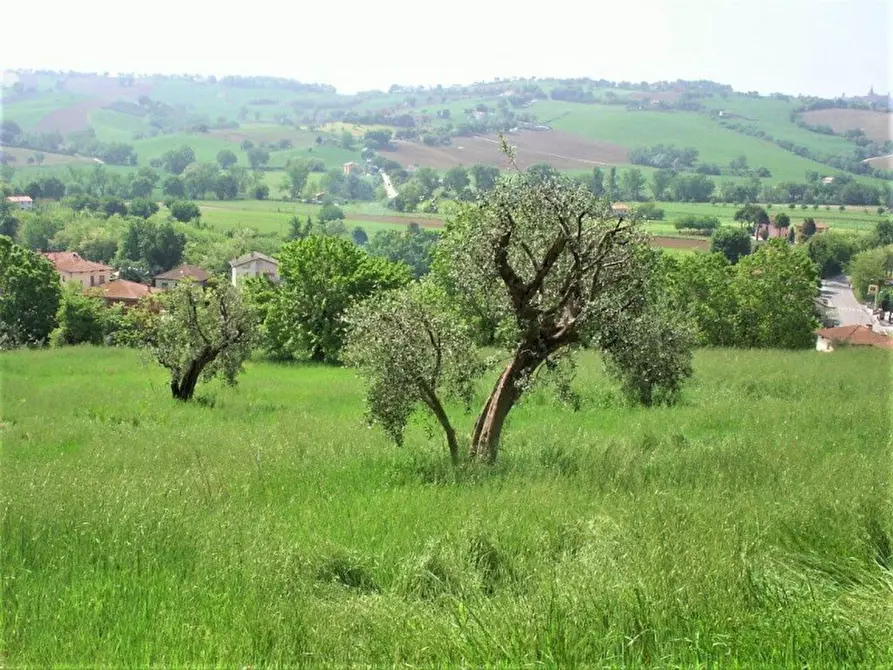 Immagine 1 di Terreno in vendita  a Corinaldo