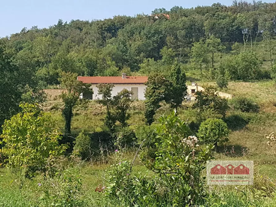 Immagine 1 di Casa indipendente in affitto  in Via Borgo 30 a Zovencedo
