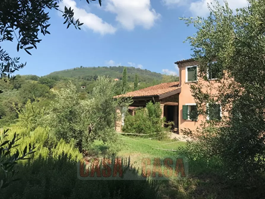 Immagine 2 di Rustico / casale in vendita  in prossima a Baone