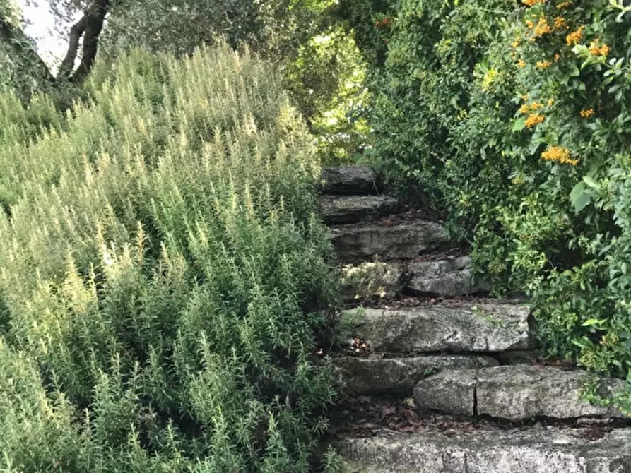 Immagine 6 di Rustico / casale in vendita  in prossima a Baone