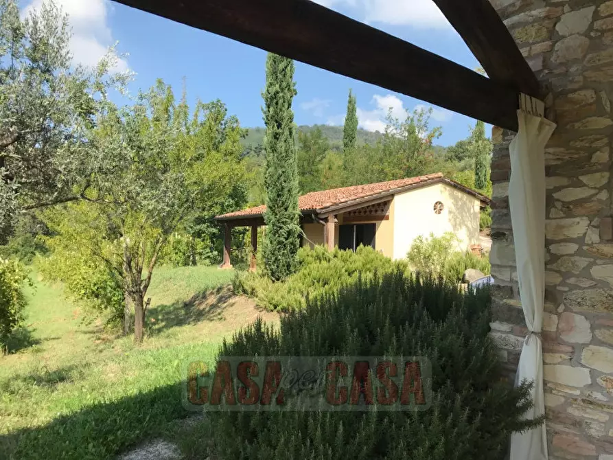 Immagine 9 di Rustico / casale in vendita  in prossima a Baone
