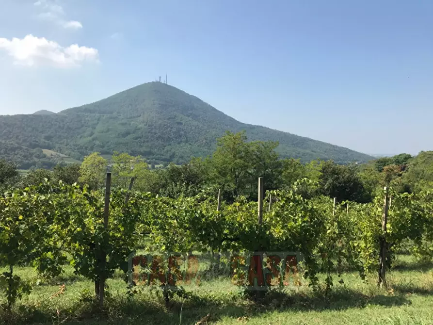 Immagine 21 di Rustico / casale in vendita  in prossima a Baone