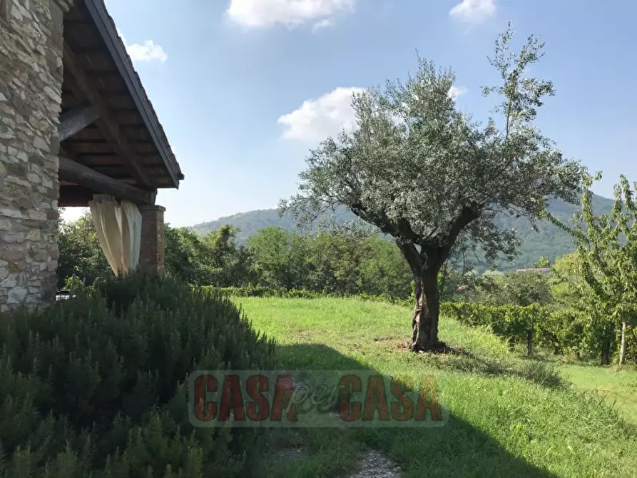 Immagine 23 di Rustico / casale in vendita  in prossima a Baone
