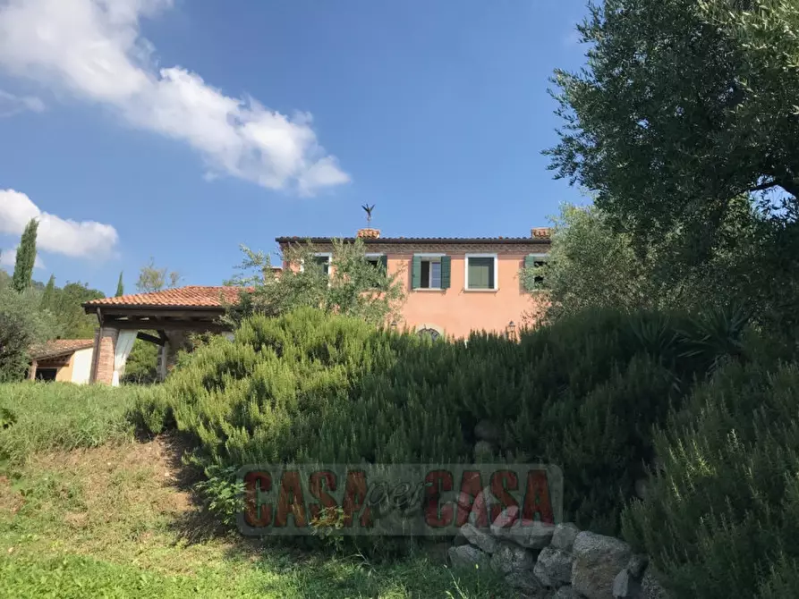Immagine 26 di Rustico / casale in vendita  in prossima a Baone