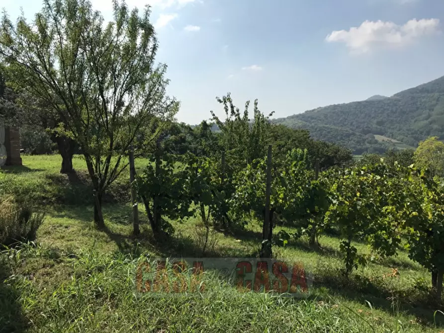 Immagine 35 di Rustico / casale in vendita  in prossima a Baone
