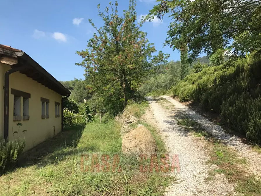 Immagine 42 di Rustico / casale in vendita  in prossima a Baone