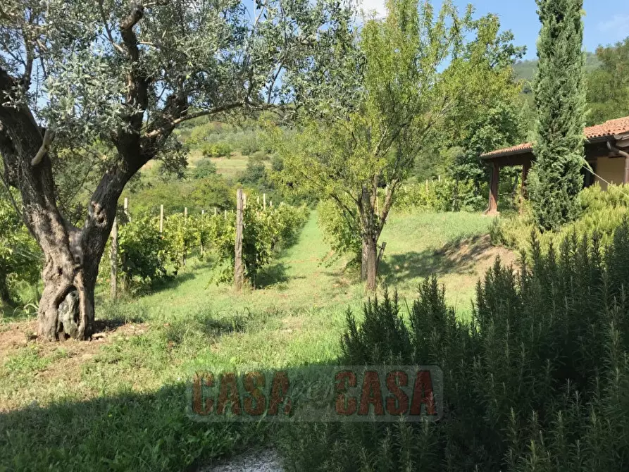 Immagine 47 di Rustico / casale in vendita  in prossima a Baone