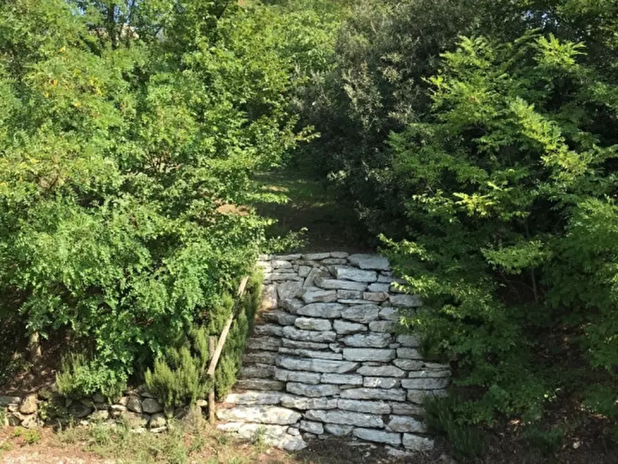 Immagine 51 di Rustico / casale in vendita  in prossima a Baone