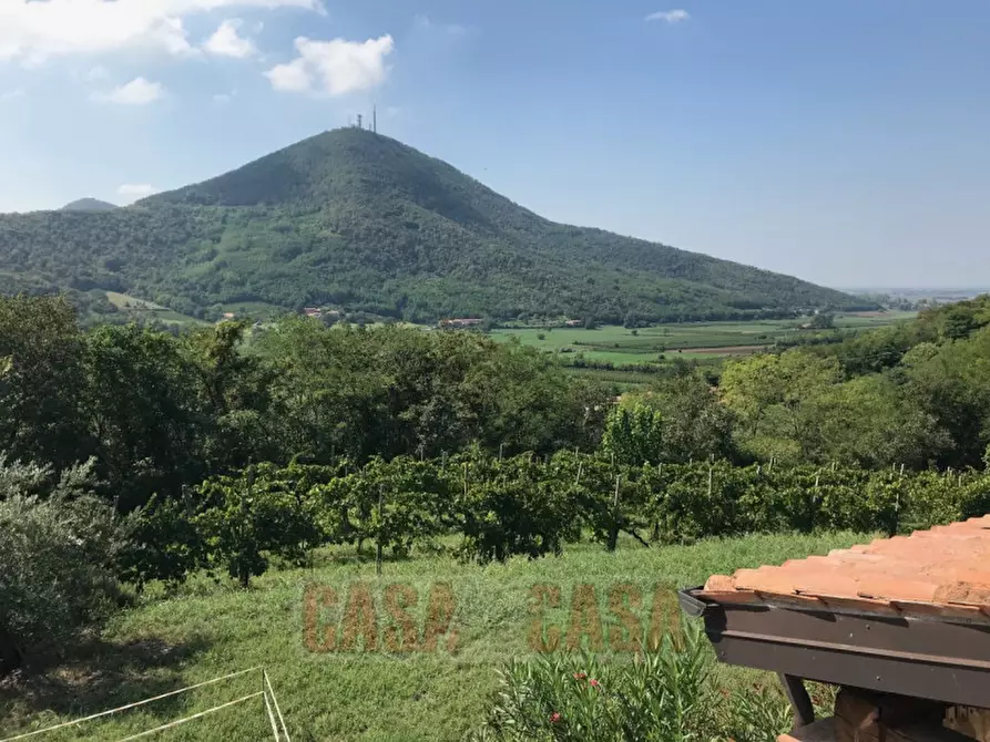 Immagine 56 di Rustico / casale in vendita  in prossima a Baone