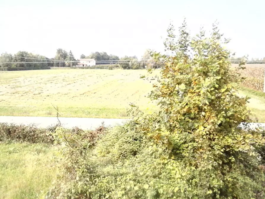 Immagine 2 di Terreno in vendita  in della croce a Mogliano Veneto
