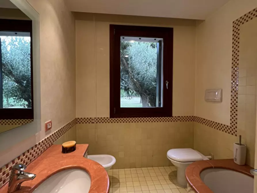 Immagine 36 di Casa indipendente in vendita  in via Pisana a Solesino