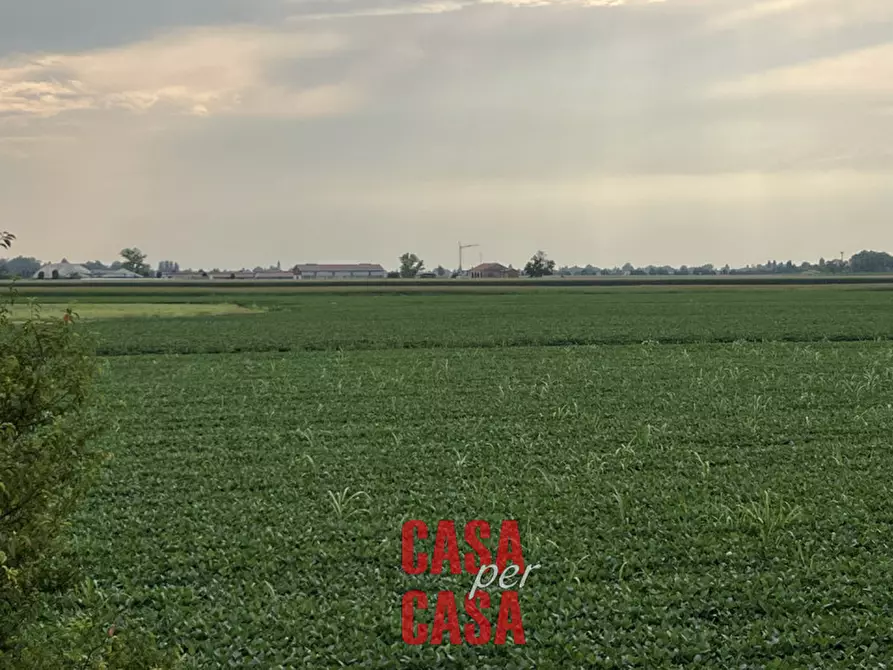 Immagine 41 di Casa indipendente in vendita  in via Pisana a Solesino