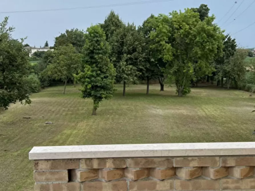 Immagine 45 di Casa indipendente in vendita  in via Pisana a Solesino