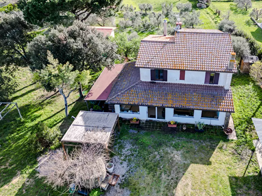 Immagine 3 di Appartamento in vendita  in via del poggetto a Castiglione Della Pescaia