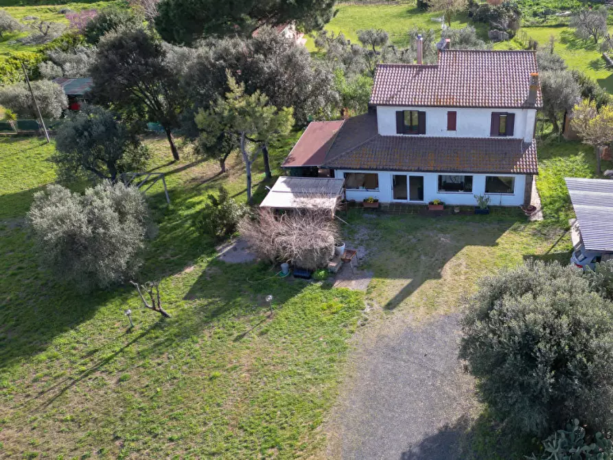 Immagine 4 di Appartamento in vendita  in via del poggetto a Castiglione Della Pescaia