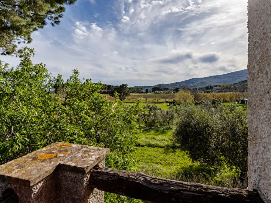 Immagine 51 di Appartamento in vendita  in via del poggetto a Castiglione Della Pescaia