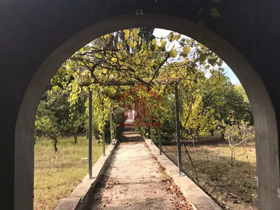 Immagine 3 di Villa in vendita  in strada provinciale 298-lecce-aeroporto san cataldo 1 a Lecce