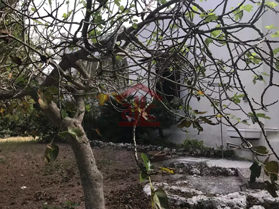 Immagine 4 di Villa in vendita  in strada provinciale 298-lecce-aeroporto san cataldo 1 a Lecce