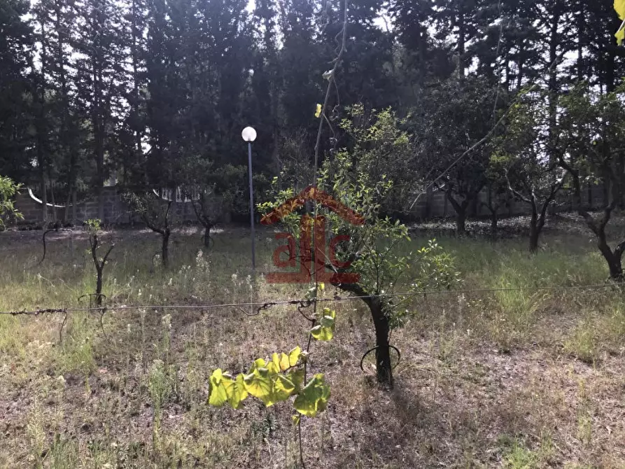 Immagine 46 di Villa in vendita  in strada provinciale 298-lecce-aeroporto san cataldo 1 a Lecce