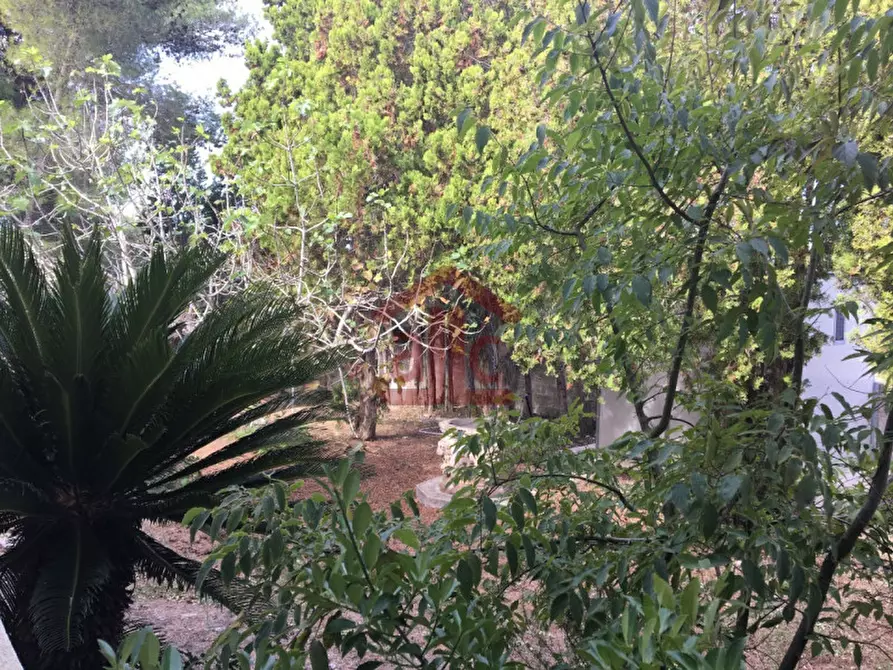 Immagine 51 di Villa in vendita  in strada provinciale 298-lecce-aeroporto san cataldo 1 a Lecce