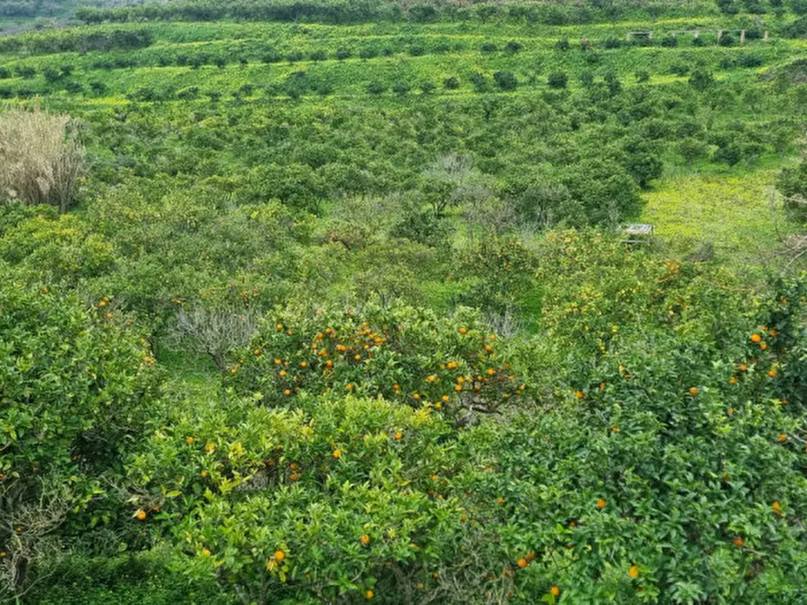 Immagine 1 di Terreno in vendita  in CONTRADA PONTE a Pace Del Mela