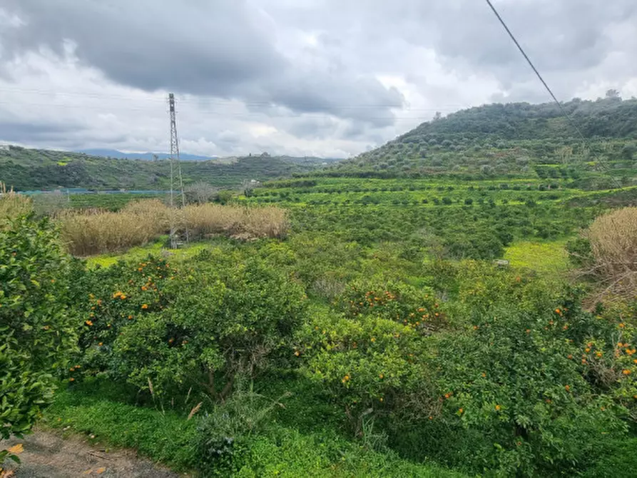 Immagine 2 di Terreno in vendita  in CONTRADA PONTE a Pace Del Mela