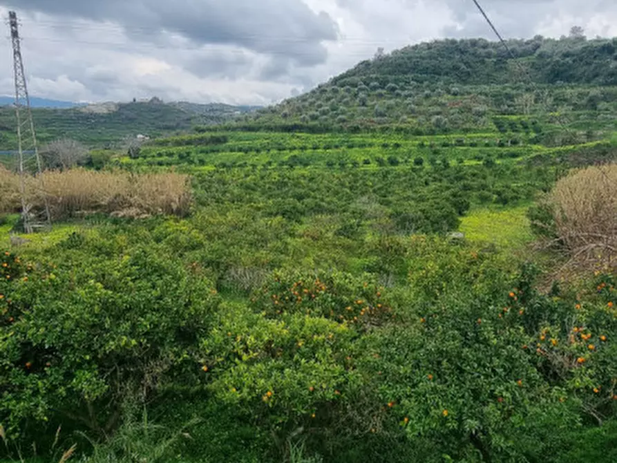 Immagine 3 di Terreno in vendita  in CONTRADA PONTE a Pace Del Mela