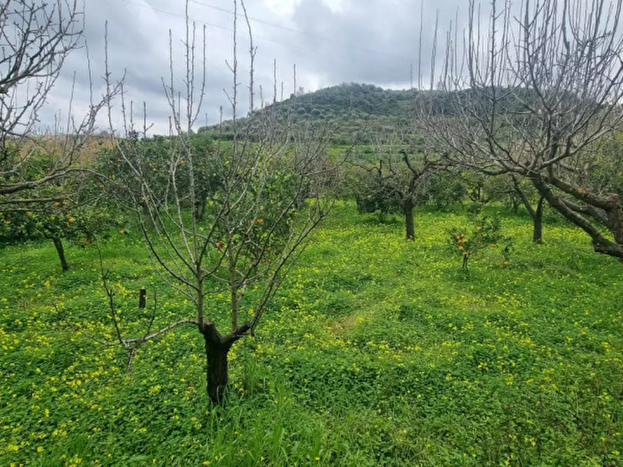 Immagine 4 di Terreno in vendita  in CONTRADA PONTE a Pace Del Mela