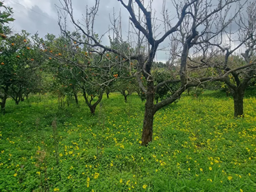 Immagine 7 di Terreno in vendita  in CONTRADA PONTE a Pace Del Mela