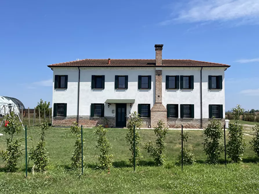 Immagine 1 di Villa in vendita  in Via Carmignola 1706 a Badia Polesine