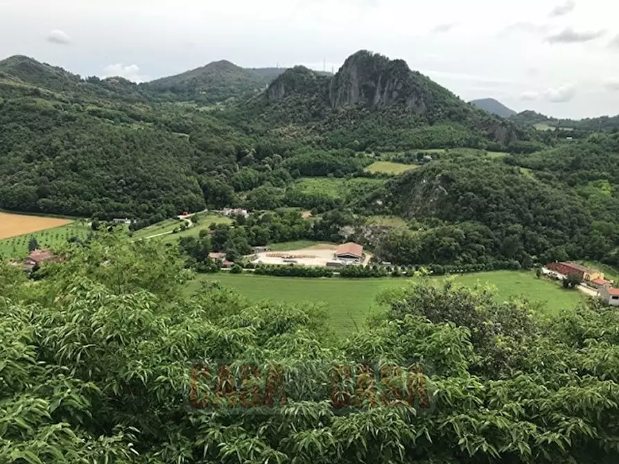 Immagine 1 di Terreno in vendita  in chiesa teolo a Teolo