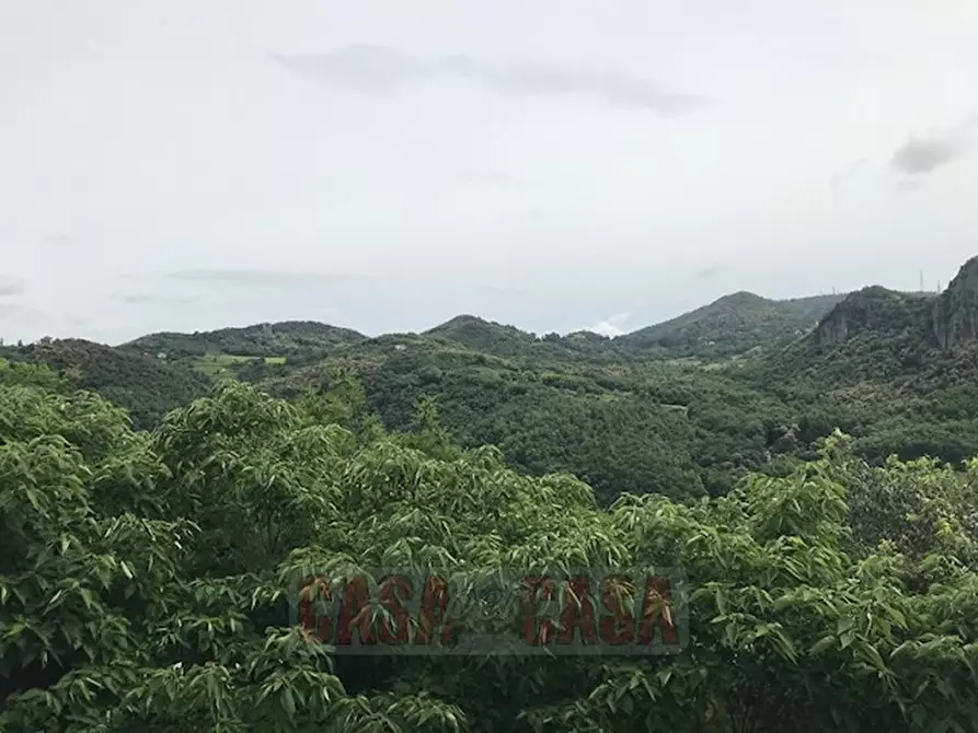 Immagine 4 di Terreno in vendita  in chiesa teolo a Teolo