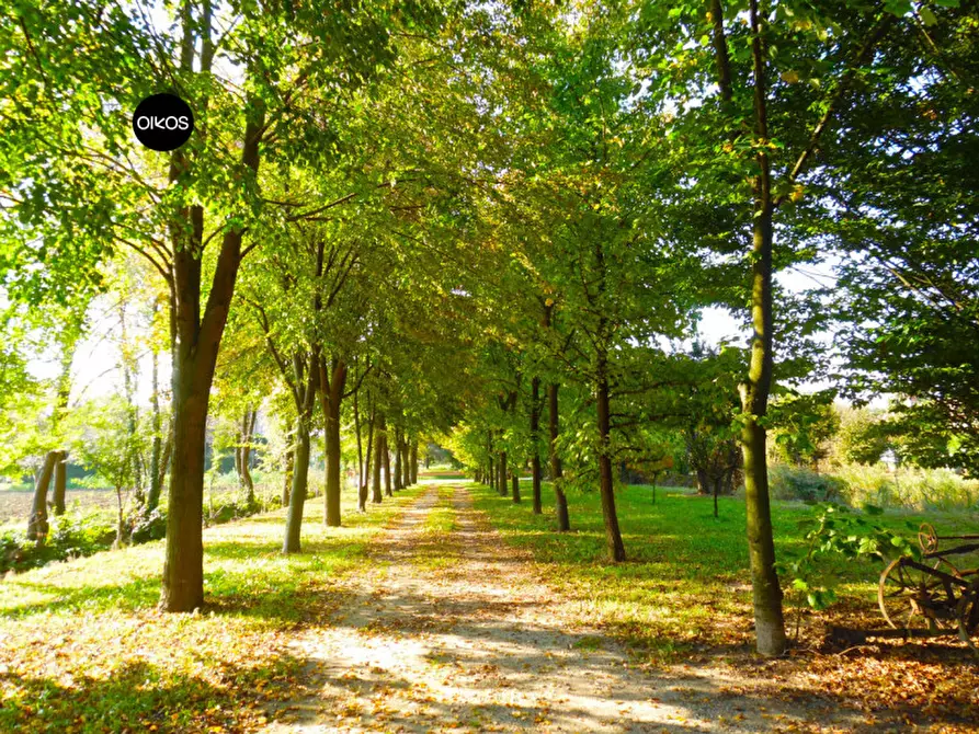 Immagine 1 di Terreno in vendita  a Campolongo Maggiore