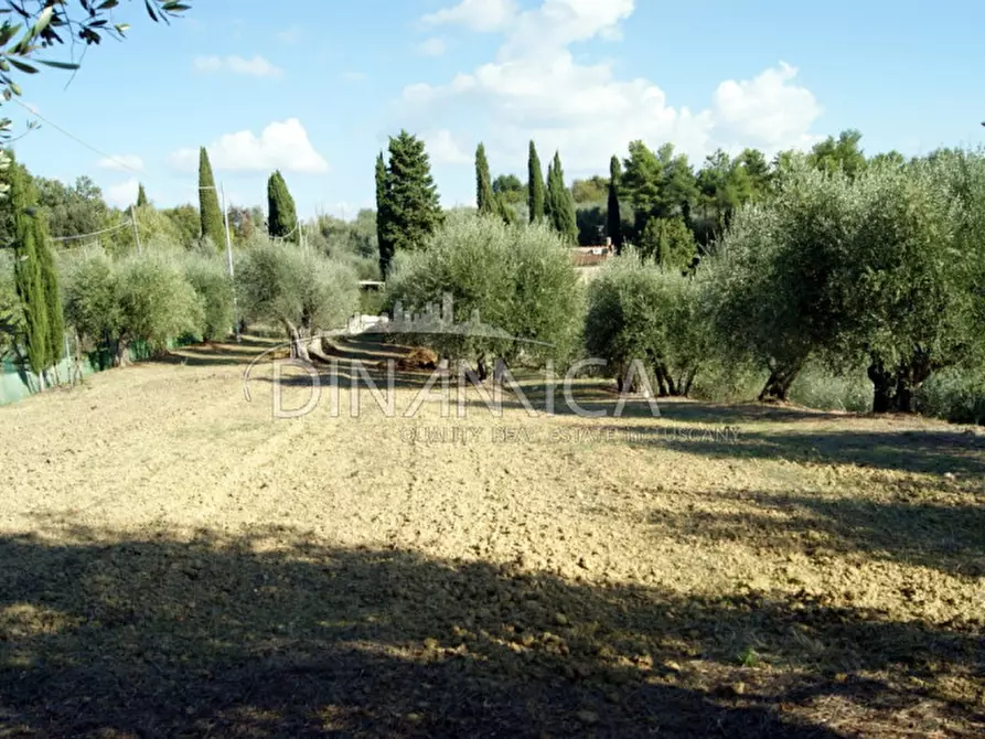 Immagine 8 di Rustico / casale in vendita  a Montopoli In Val D'arno