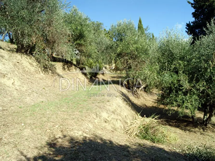 Immagine 9 di Rustico / casale in vendita  a Montopoli In Val D'arno