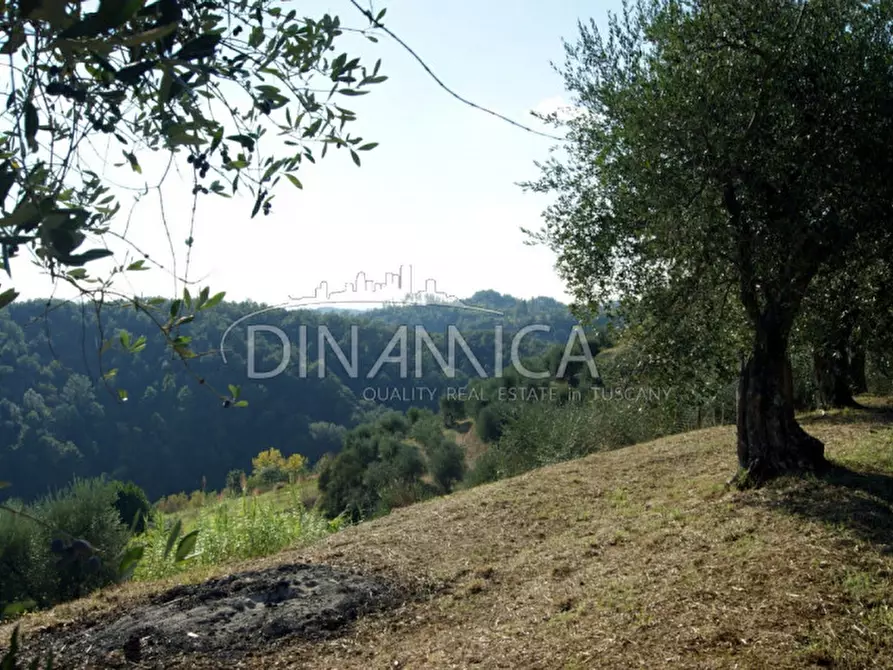 Immagine 11 di Rustico / casale in vendita  a Montopoli In Val D'arno