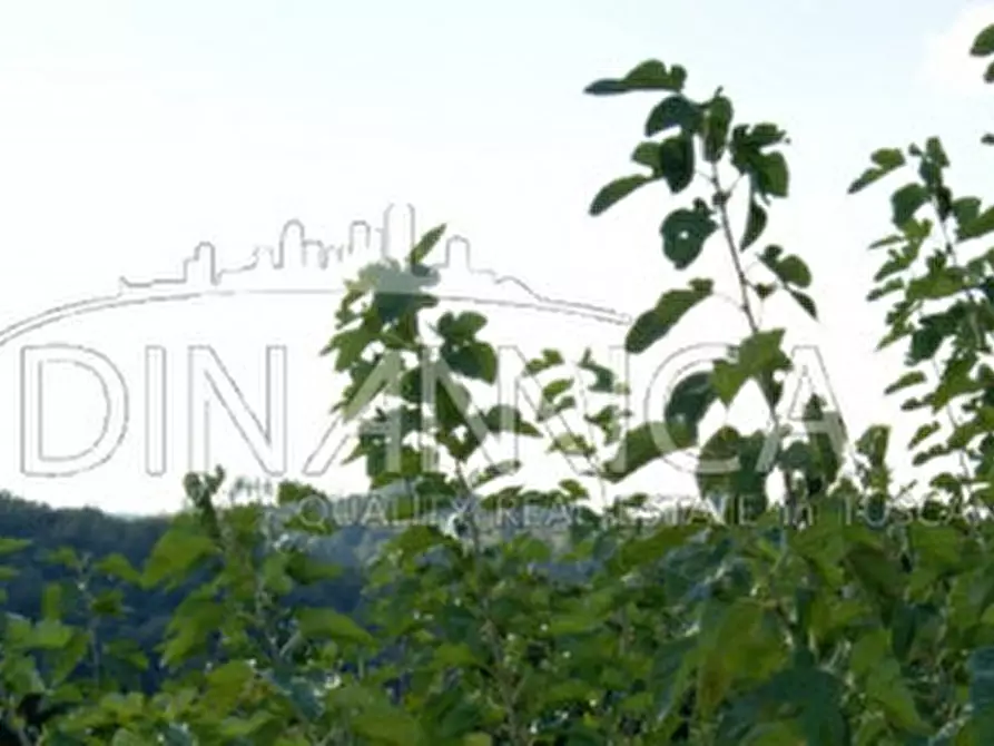 Immagine 12 di Rustico / casale in vendita  a Montopoli In Val D'arno