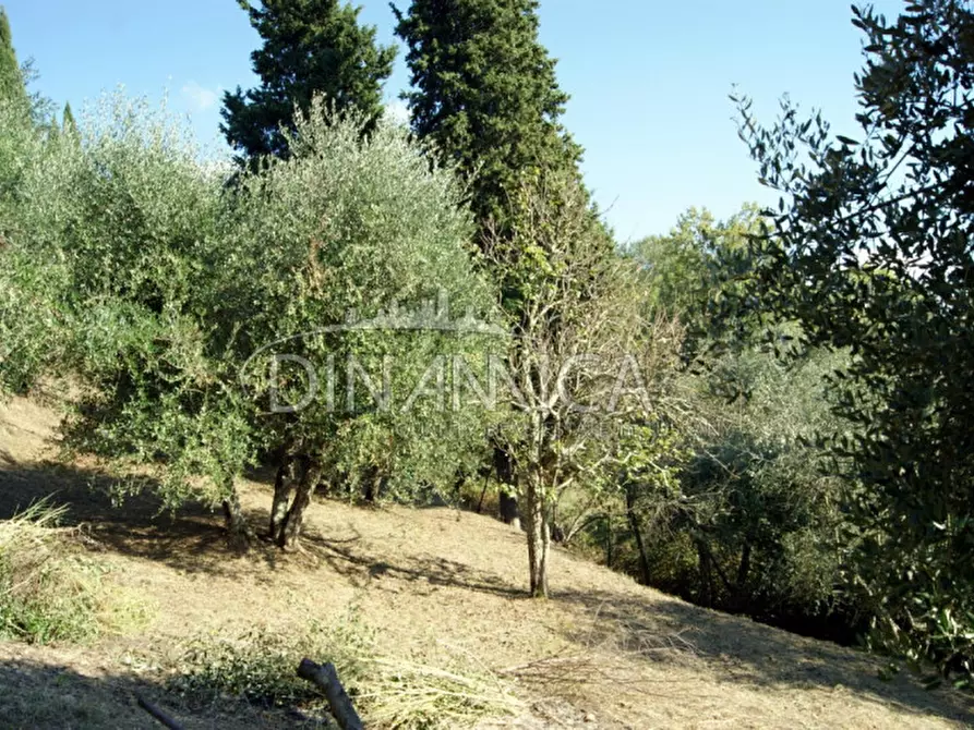 Immagine 27 di Rustico / casale in vendita  a Montopoli In Val D'arno