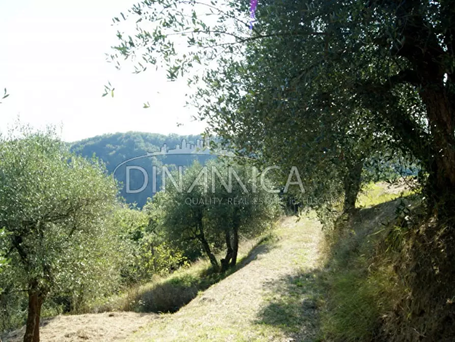 Immagine 28 di Rustico / casale in vendita  a Montopoli In Val D'arno