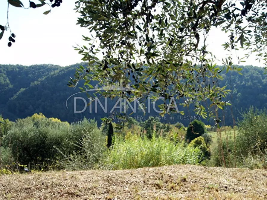 Immagine 29 di Rustico / casale in vendita  a Montopoli In Val D'arno