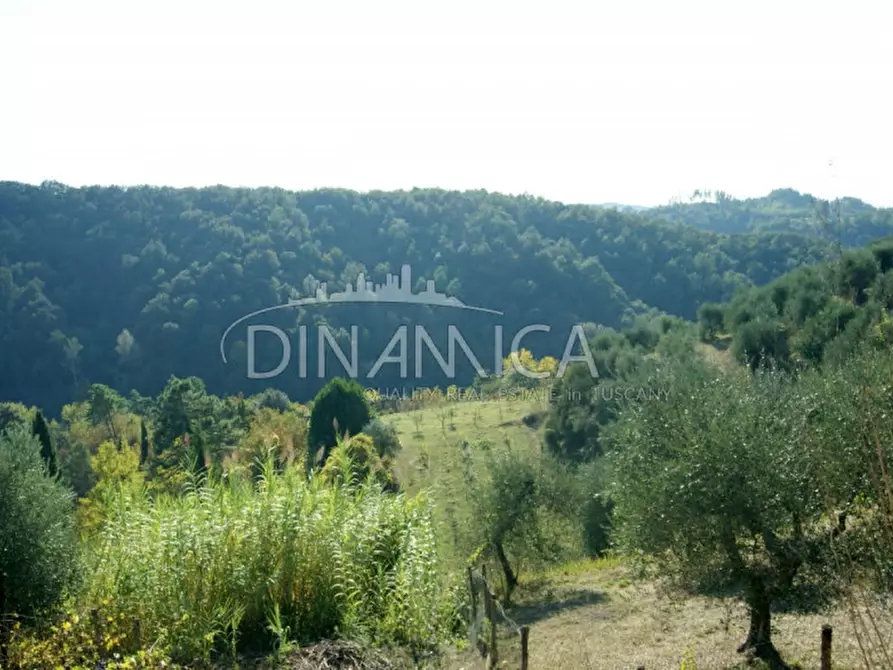 Immagine 30 di Rustico / casale in vendita  a Montopoli In Val D'arno