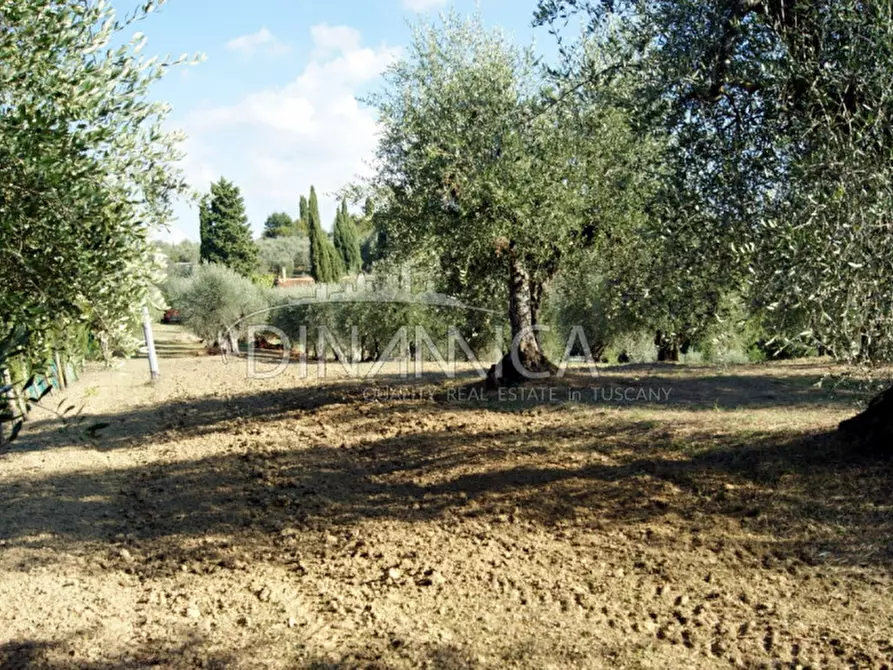 Immagine 31 di Rustico / casale in vendita  a Montopoli In Val D'arno