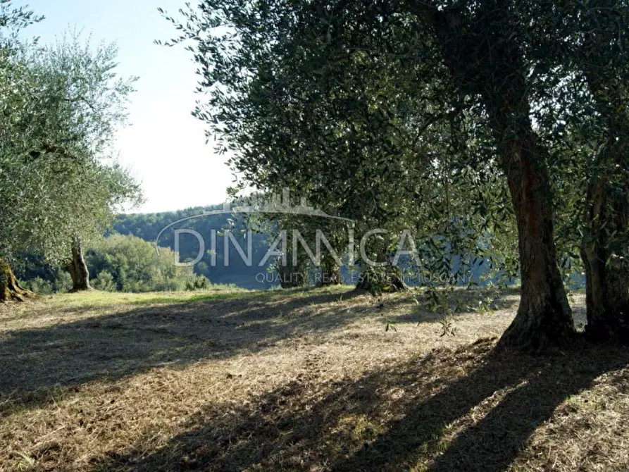 Immagine 32 di Rustico / casale in vendita  a Montopoli In Val D'arno